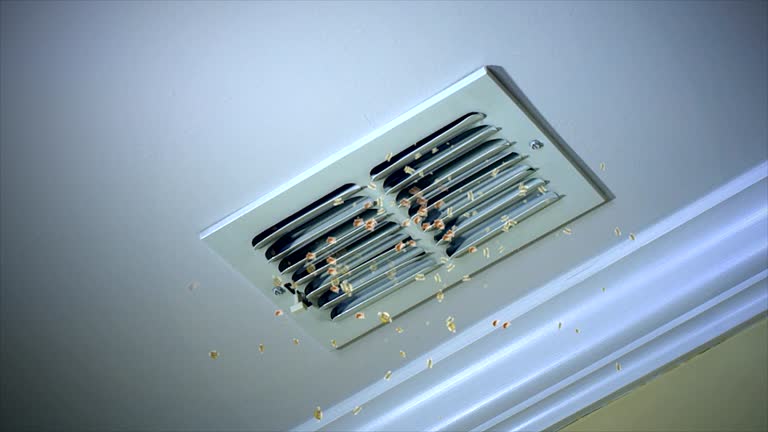 Best HVAC System Cleaning  in Notre Dame, IN