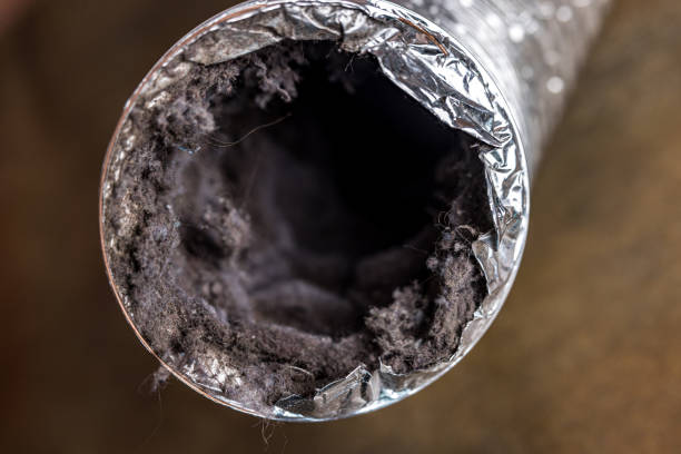 Best Best Air Duct Cleaning Company  in Notre Dame, IN