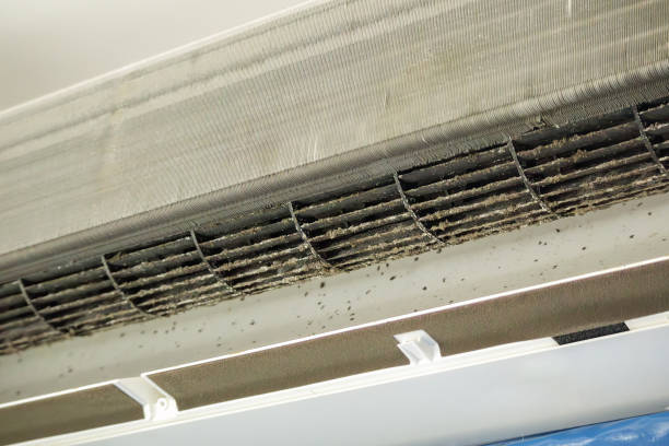 HVAC System Cleaning in IN